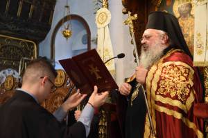 dsc_7994_optimized_original