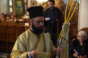 dsc_8021_optimized_original