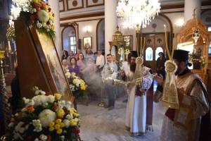 dsc_8037_optimized_original