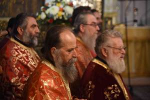 dsc_8077_optimized_original