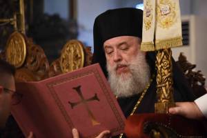 dsc_8094_optimized_original