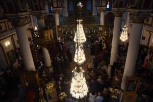 dsc_8115_optimized_original