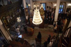 dsc_8117_optimized_original