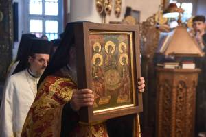 dsc_8126_optimized_original