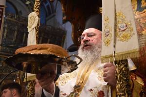 dsc_8158_optimized_original