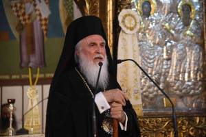 dsc_8165_optimized_original