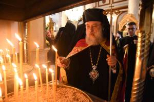 dsc_8246_optimized_original