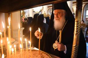 dsc_8249_optimized_original