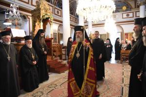 dsc_8253_optimized_original