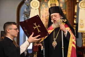 dsc_8271_optimized_original