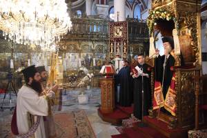 dsc_8275_optimized_original