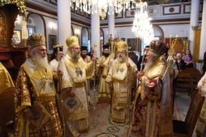 dsc_8334_optimized_original