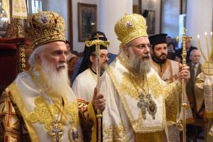 dsc_8347_optimized_original