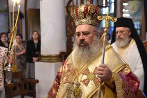 dsc_8353_optimized_original