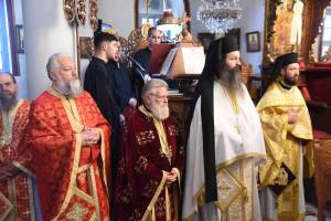 dsc_8363_optimized_original