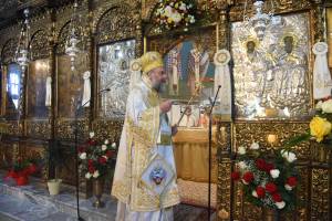 dsc_8446_optimized_original