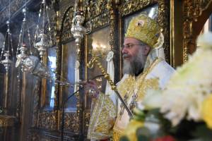 dsc_8447_optimized_original