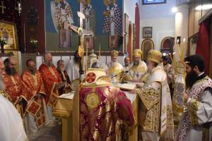 dsc_8454_optimized_original