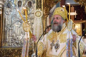 dsc_8464_optimized_original