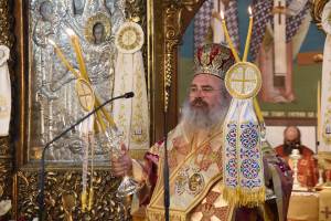 dsc_8469_optimized_original