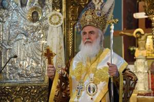 dsc_8506_optimized_original