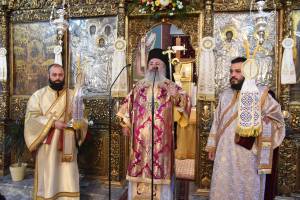 dsc_8530_optimized_original