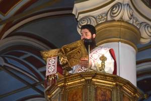 dsc_8538_optimized_original