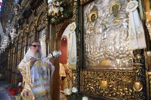 dsc_8543_optimized_original