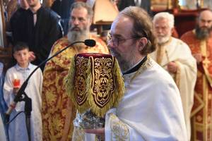 dsc_8585_optimized_original