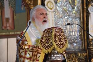 dsc_8590_optimized_original