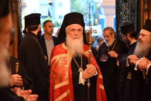 spp_2053_optimized_original