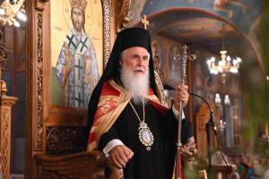 spp_2122_optimized_original