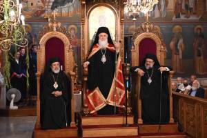 spp_2138_optimized_original