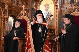 spp_2162_optimized_original