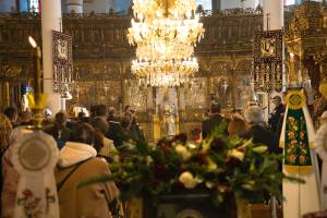 171_optimized_original