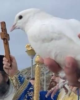 Photo_6-1-25_20_03_11_17_original